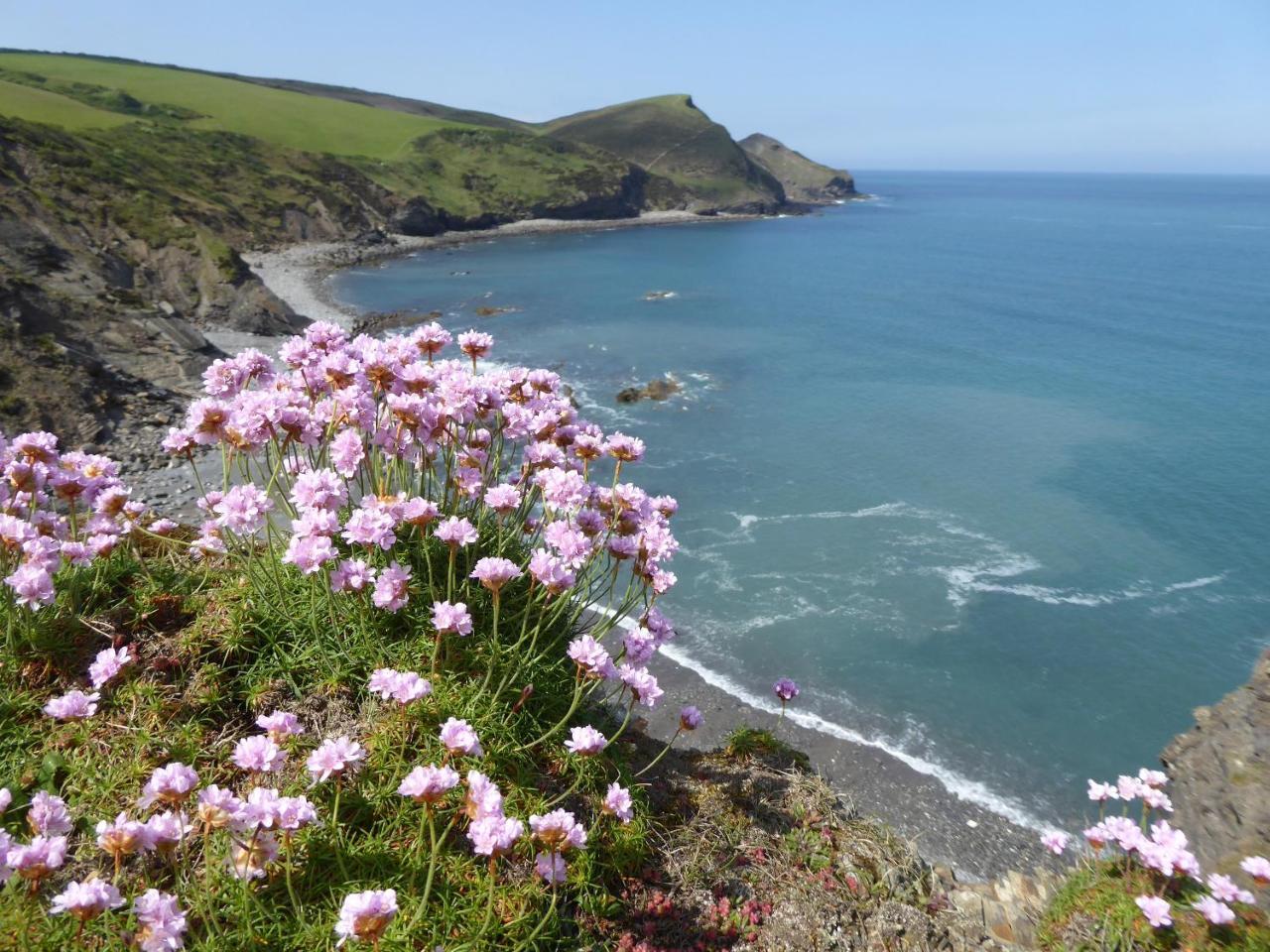 Lower Tresmorn Farmhouse Crackington Haven 외부 사진