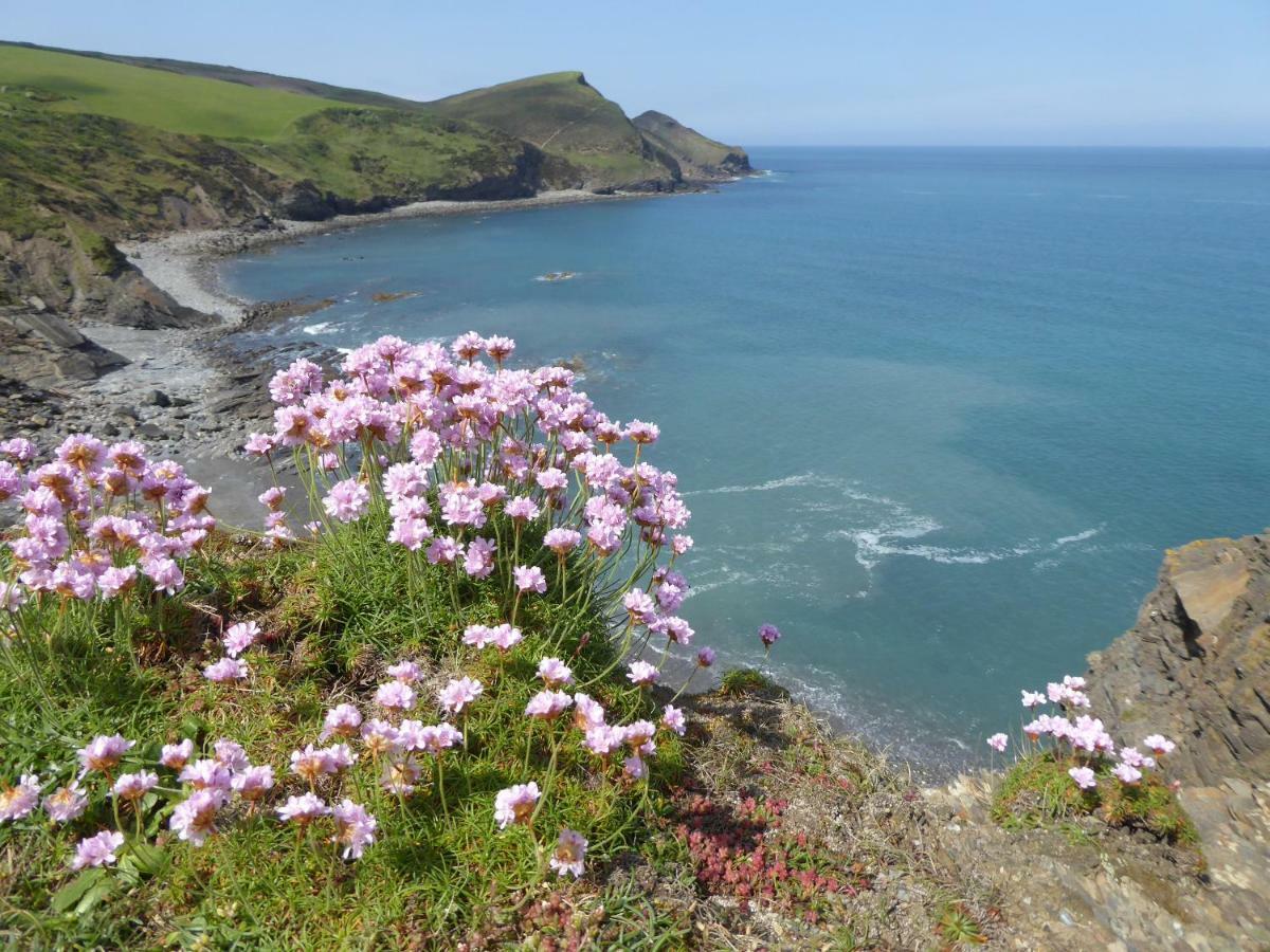 Lower Tresmorn Farmhouse Crackington Haven 외부 사진
